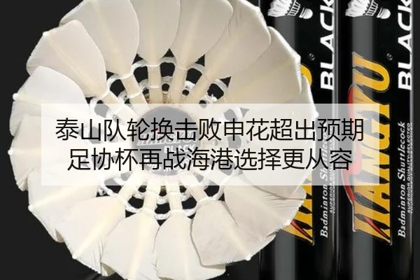 泰山队轮换击败申花超出预期 足协杯再战海港选择更从容